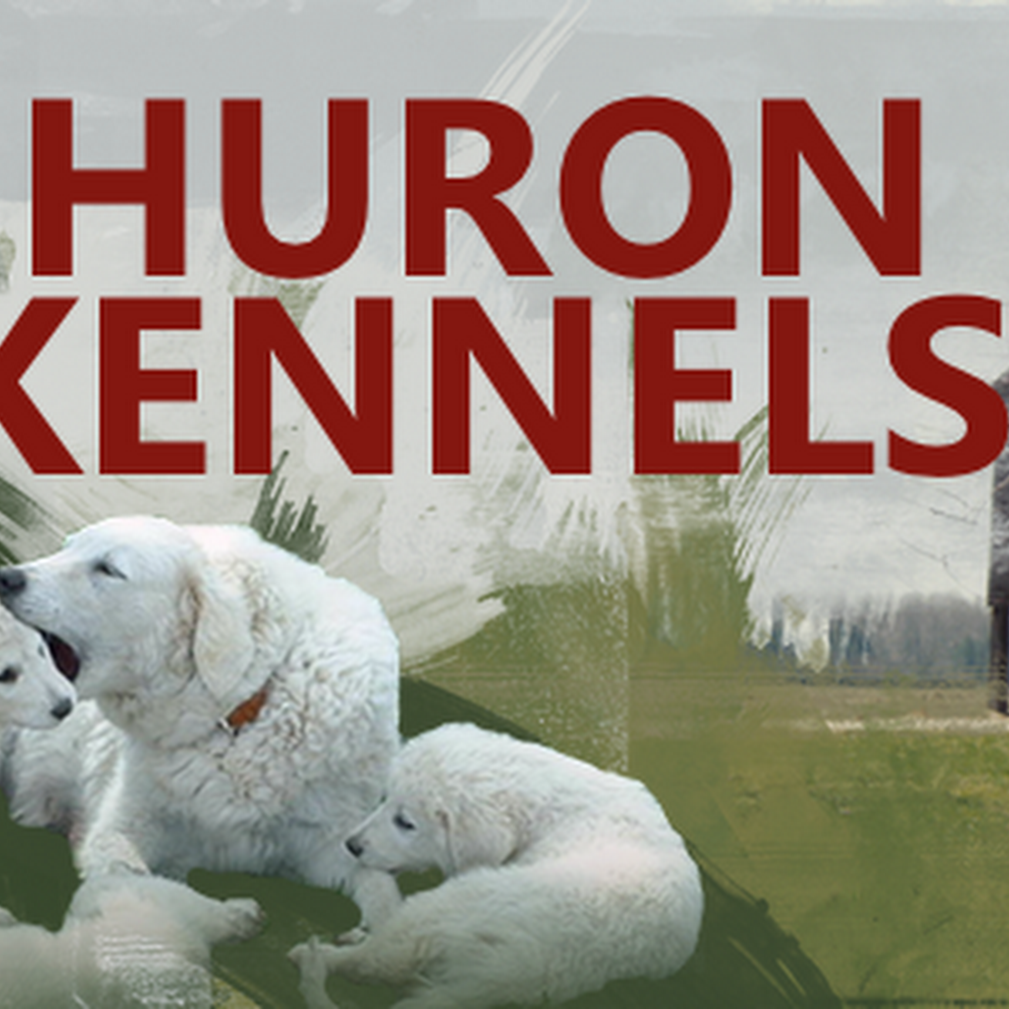 Huron Registered (Kuvaszok) Kennels Goderich