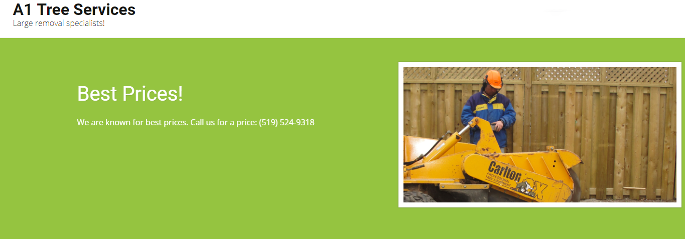 A1 Tree Services 245 Suncoast Dr E, Goderich Ontario N7A 4H8