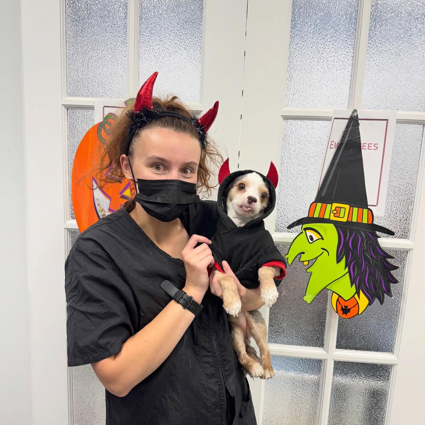 Brushcuts Professional Pet Grooming Guelph