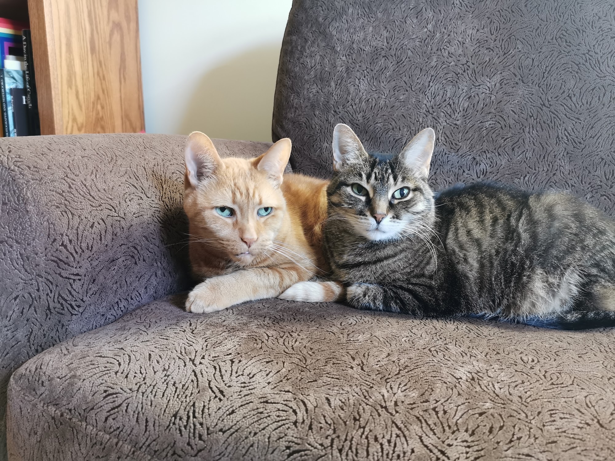 Guelph Humane Society Guelph