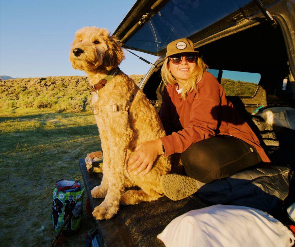 Mohawk Animal Clinic Upper James St. Hamilton