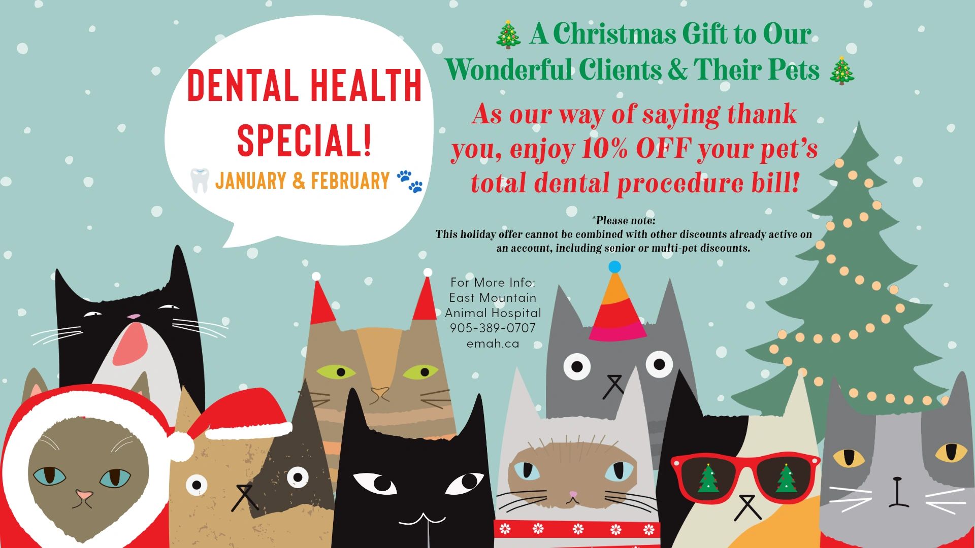 East Mountain Animal Hospital Hamilton