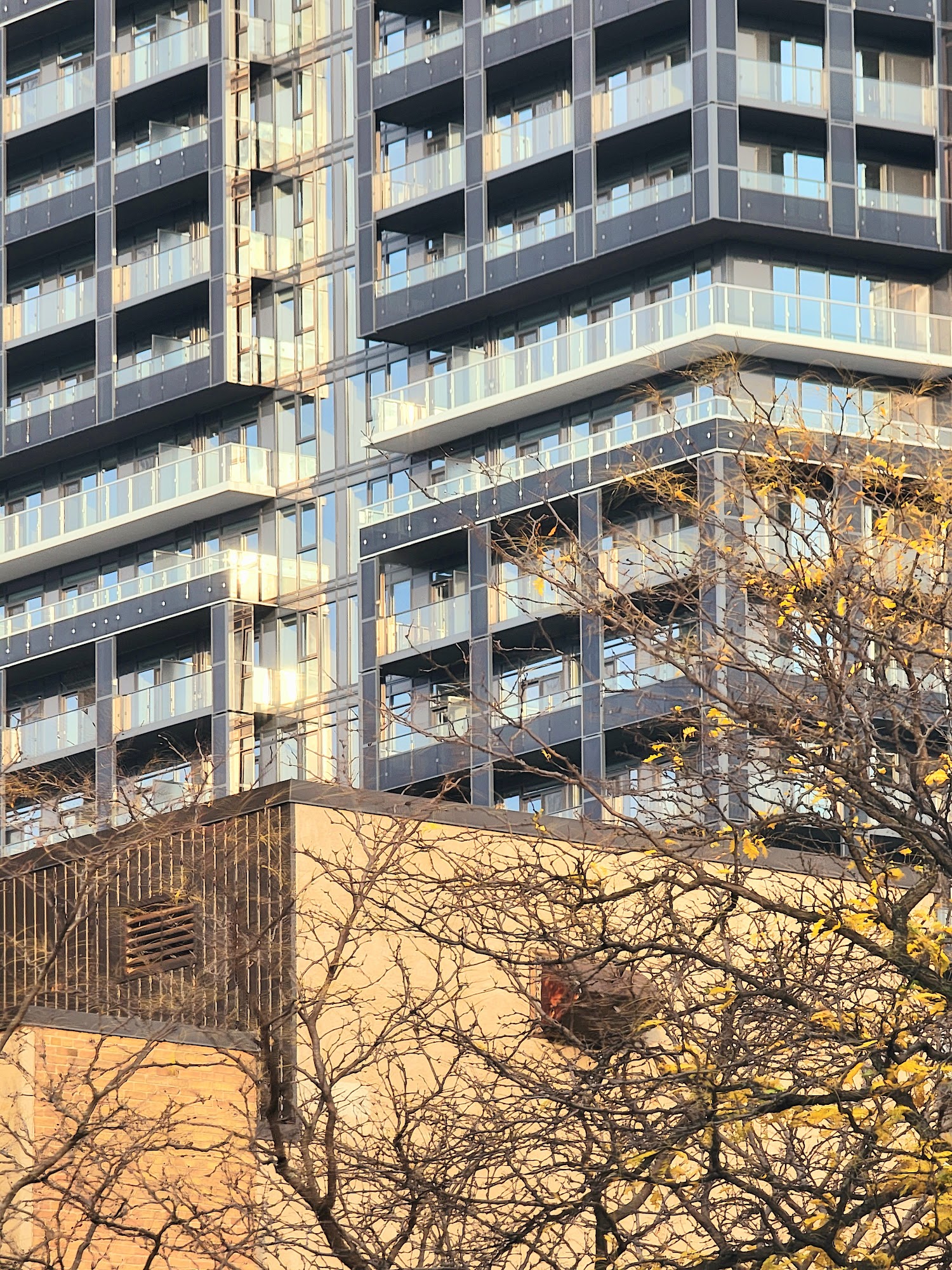 Youth Wellness Centre