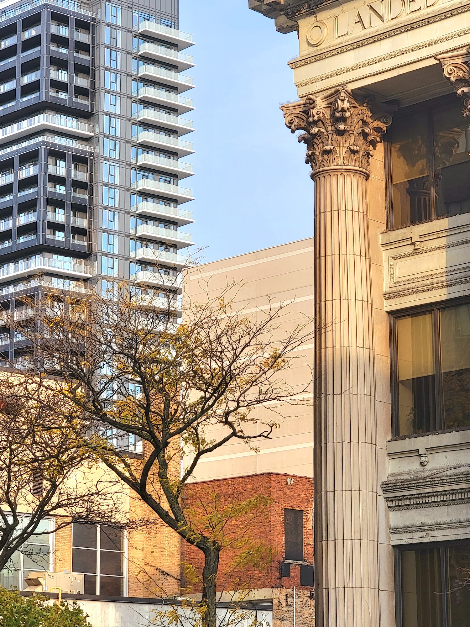 Youth Wellness Centre