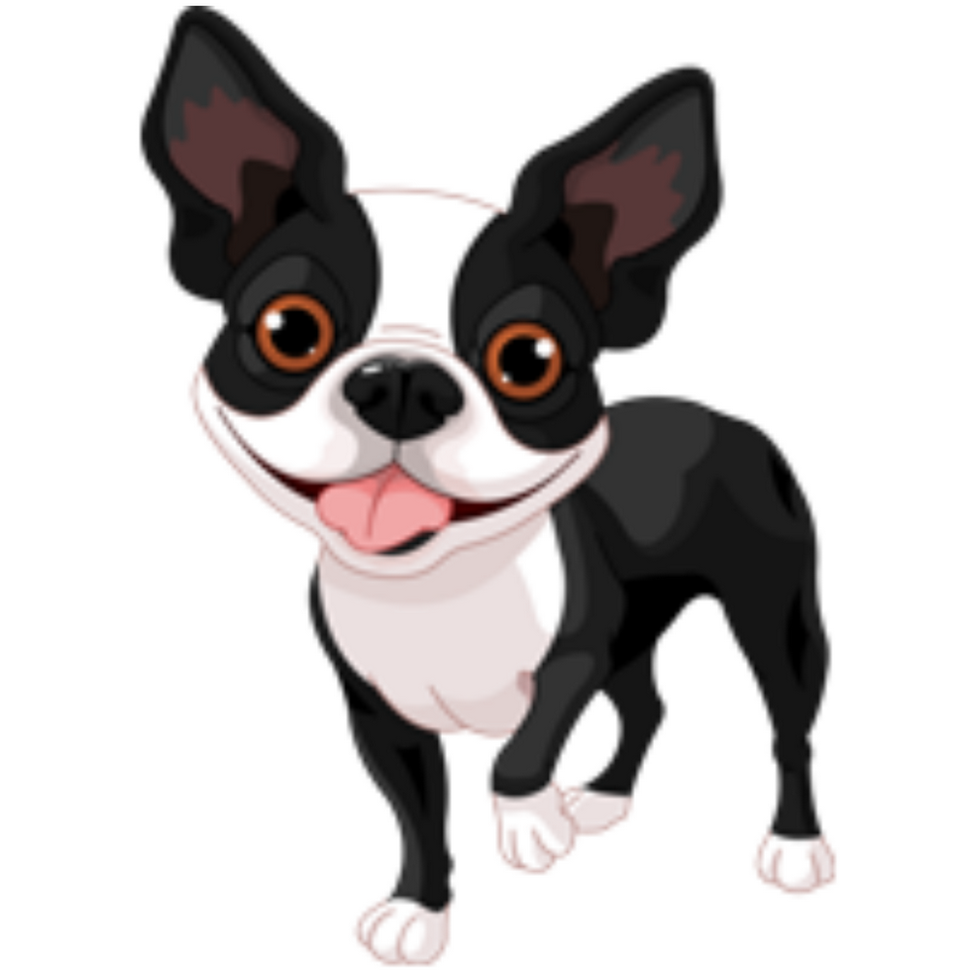 All Seasons Kennels Hamilton