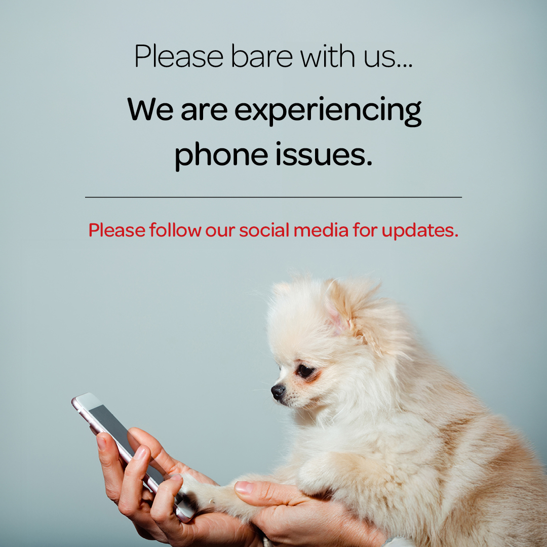 Clappison Animal Hospital Hamilton