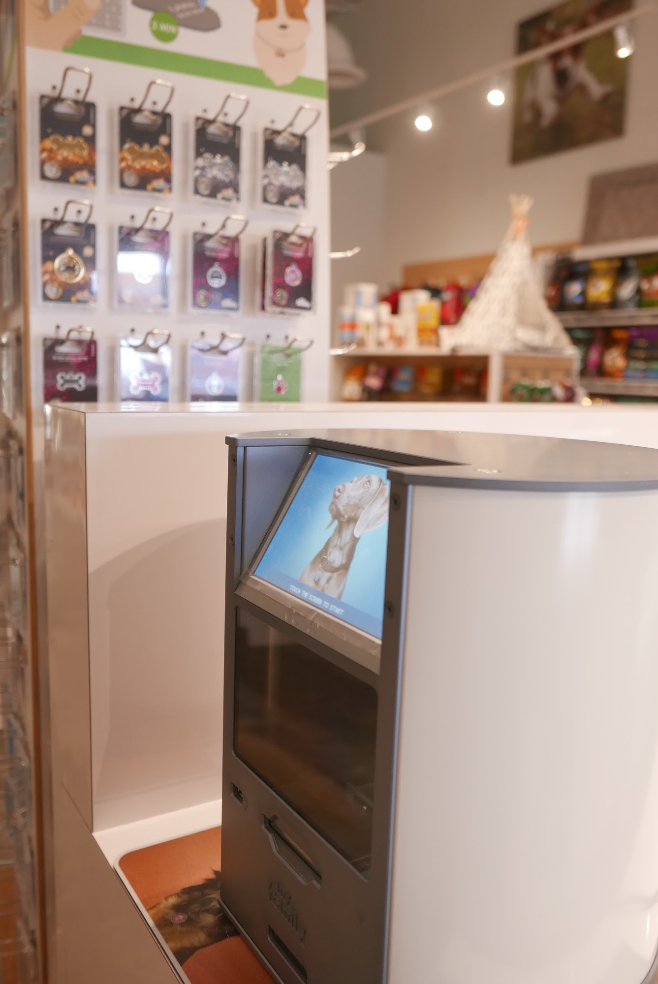 Bone & Biscuit Hamilton Centre Hamilton