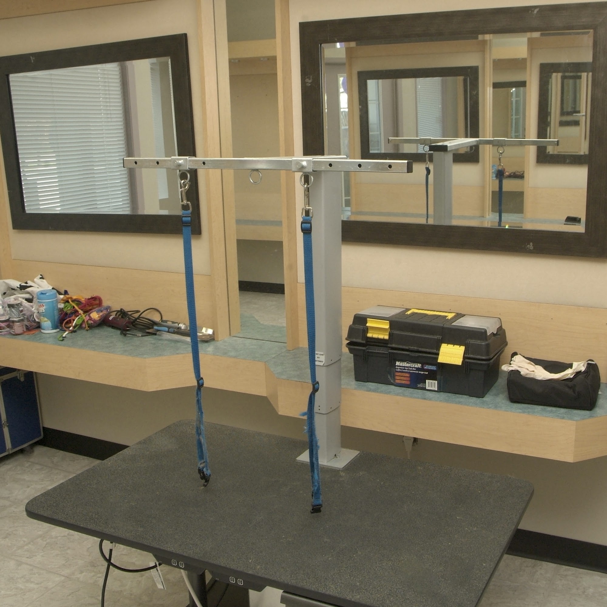 Spaw and Raw Pet Grooming Hamilton