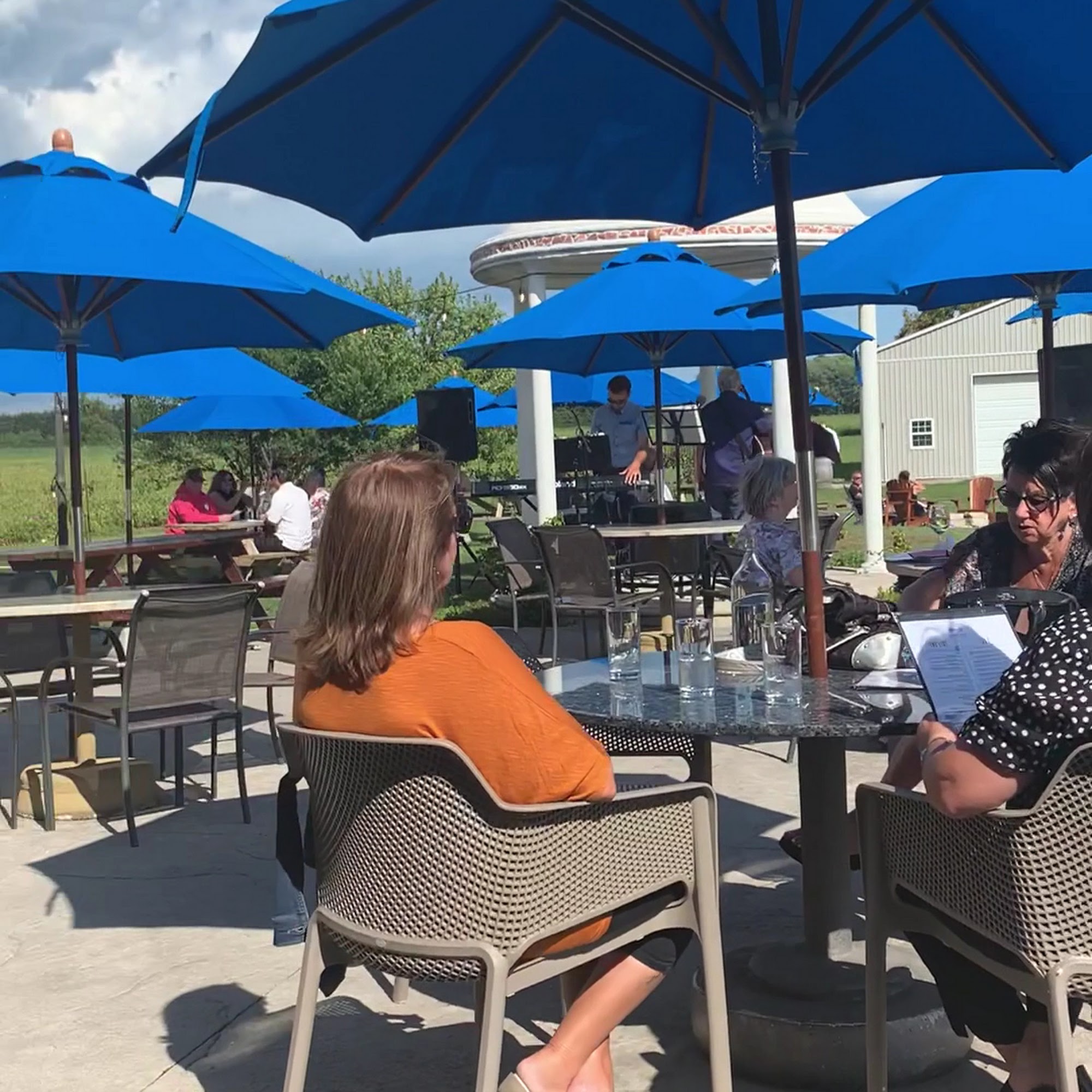 Paglione Estate Winery Harrow