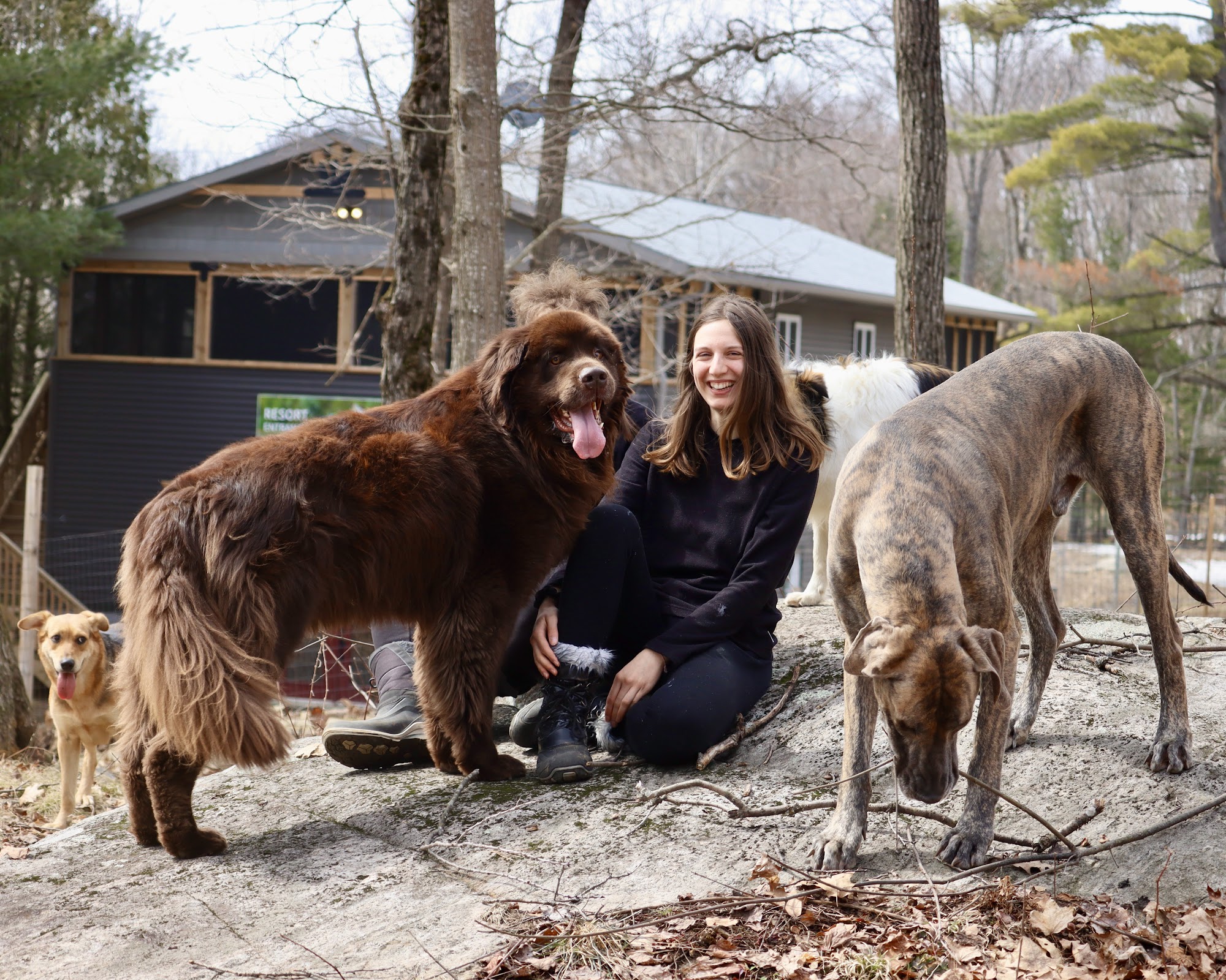 Happy Tails Pet Resort & Camp Huntsville