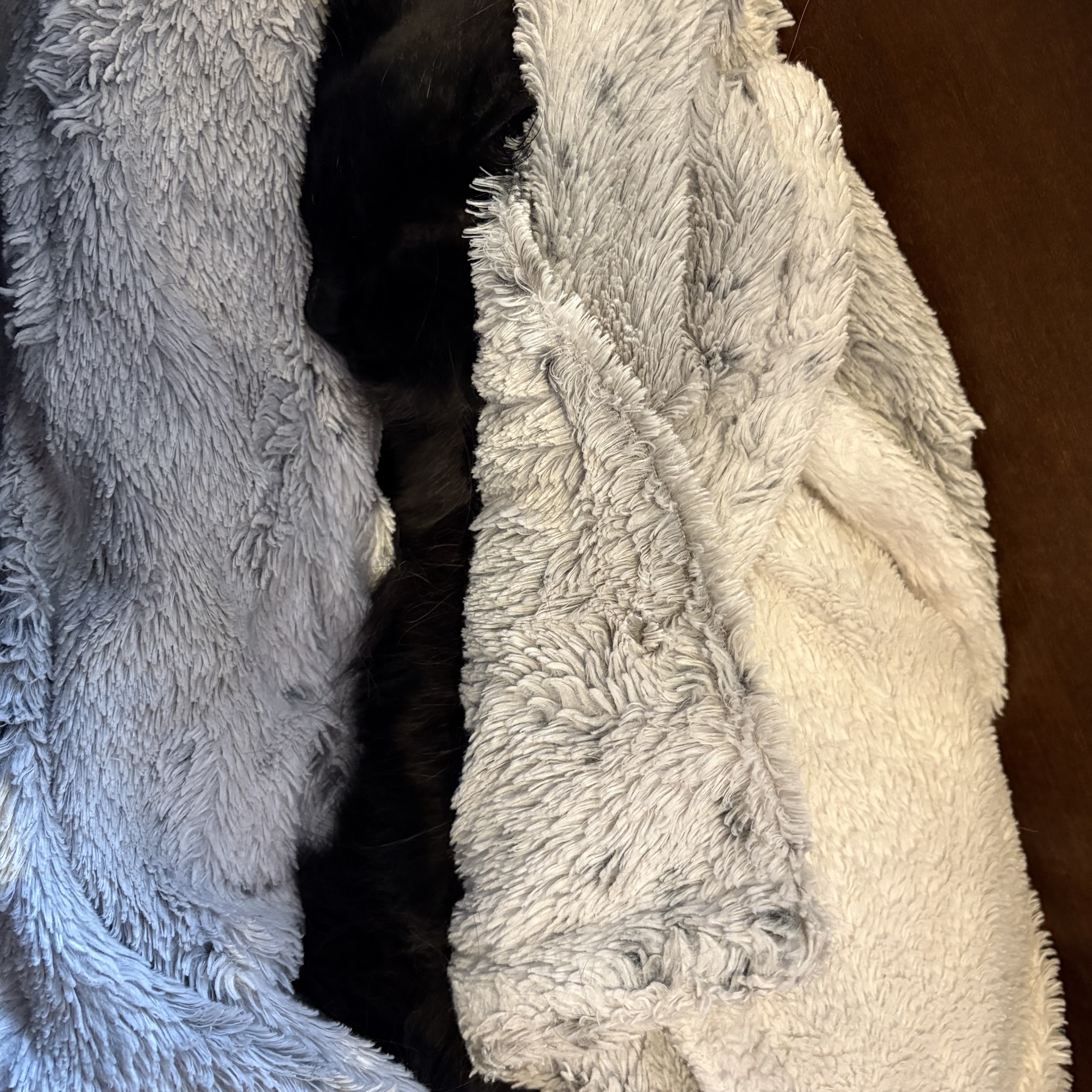 Huntsville Animal Hospital Huntsville