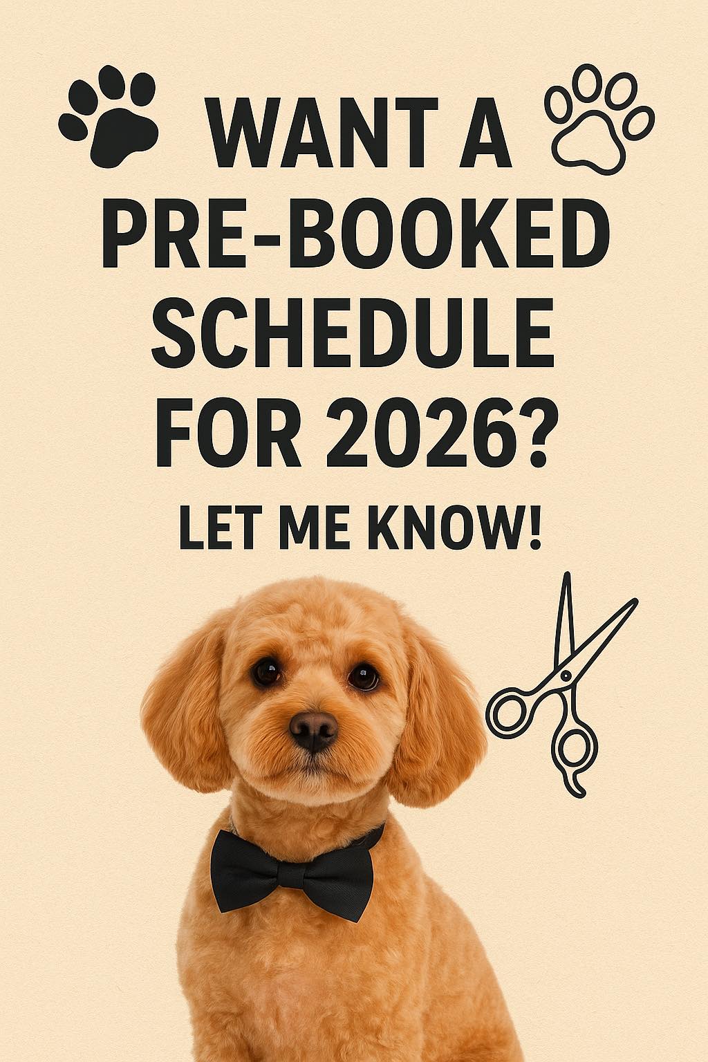 Bath & Doggy Works Grooming Innisfil