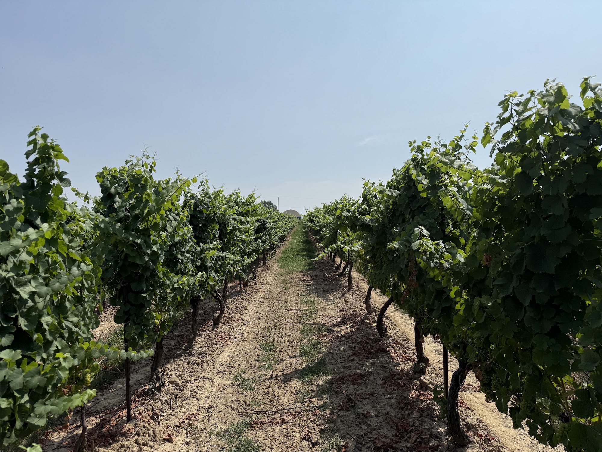 Flat Rock Cellars Menu