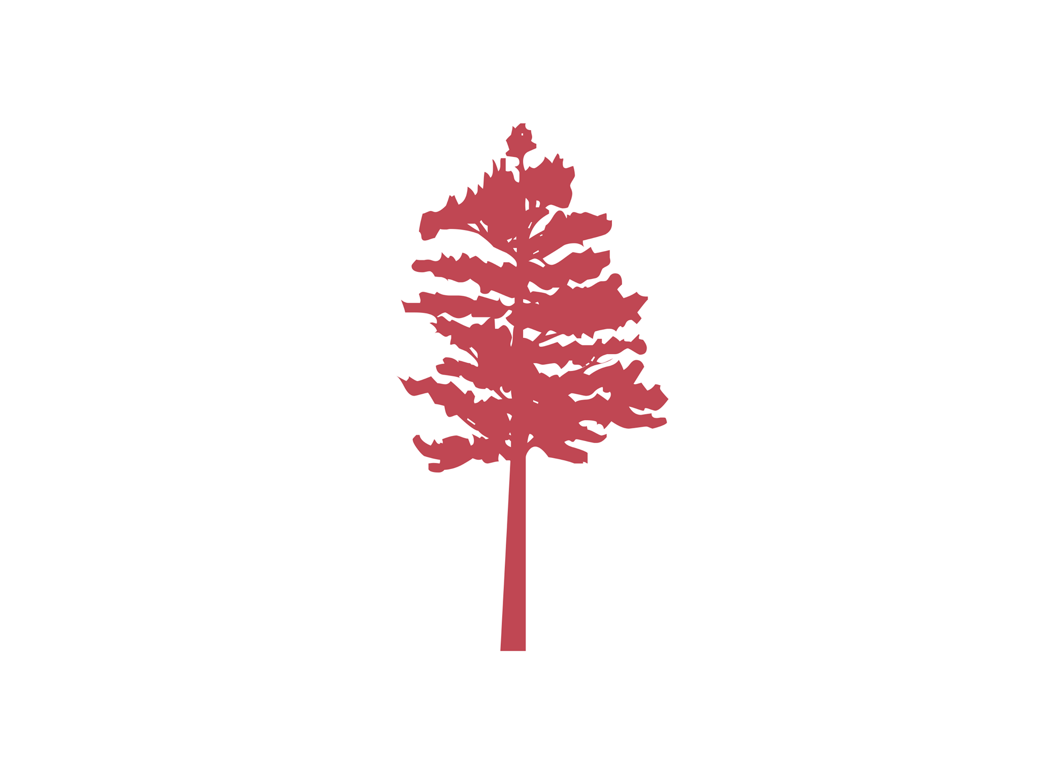 redwood financial group