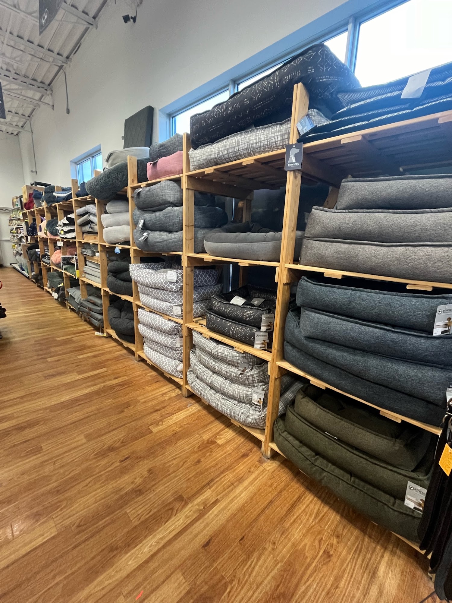 Ren's Pets Kanata Kanata