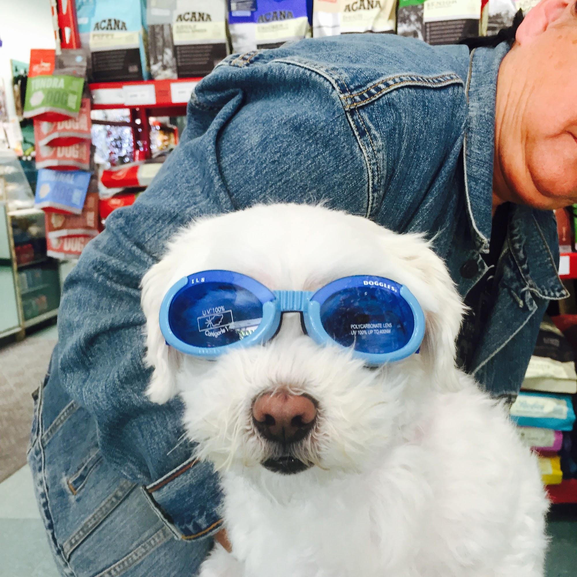 Fetch Pet Supply Kawartha Lakes