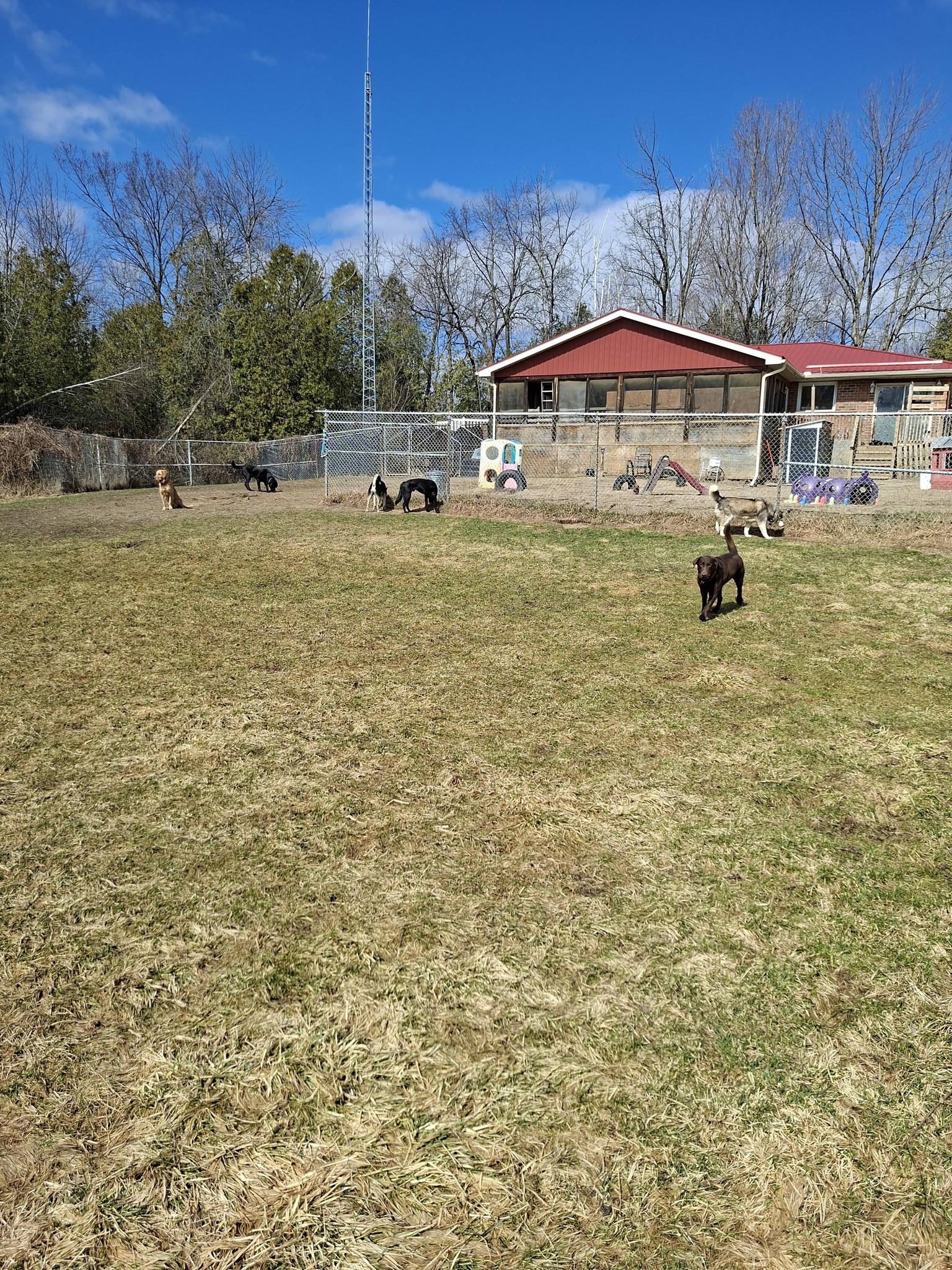Auntie Shannon's Kemptville
