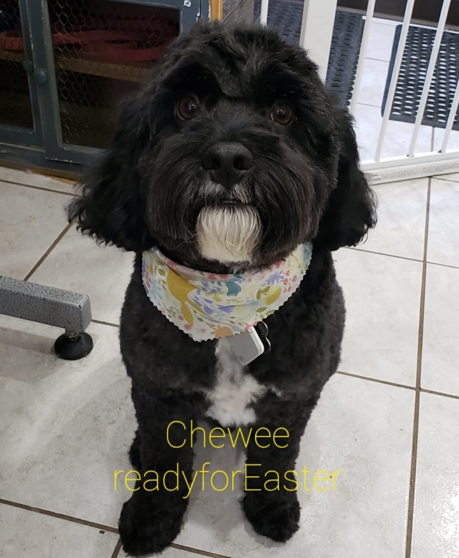 Photo credit: yellowpages.ca