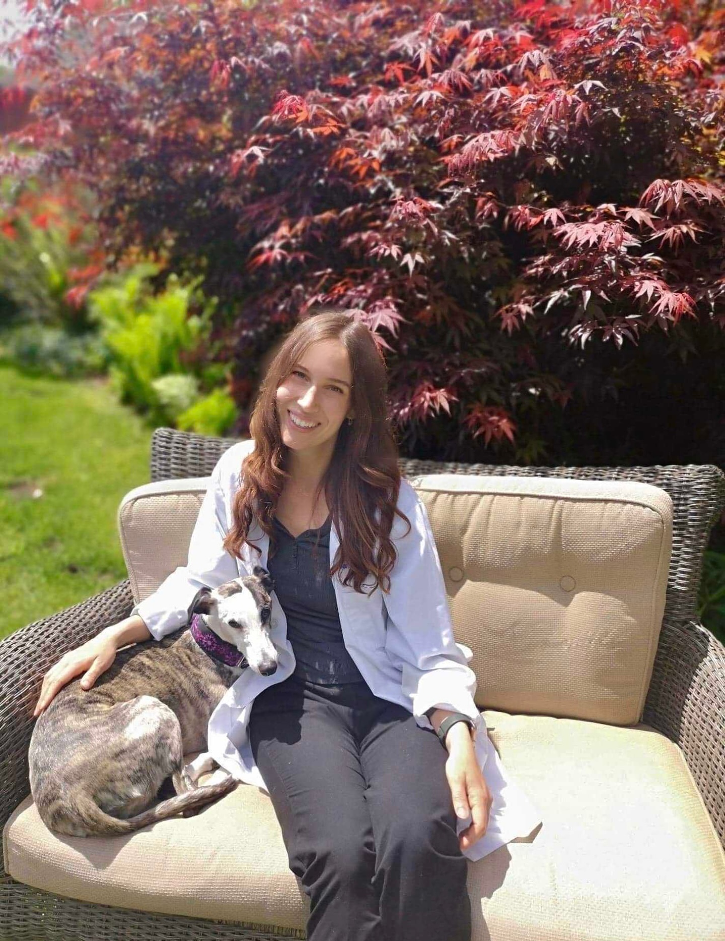 Gateway Pet Hospital Kitchener