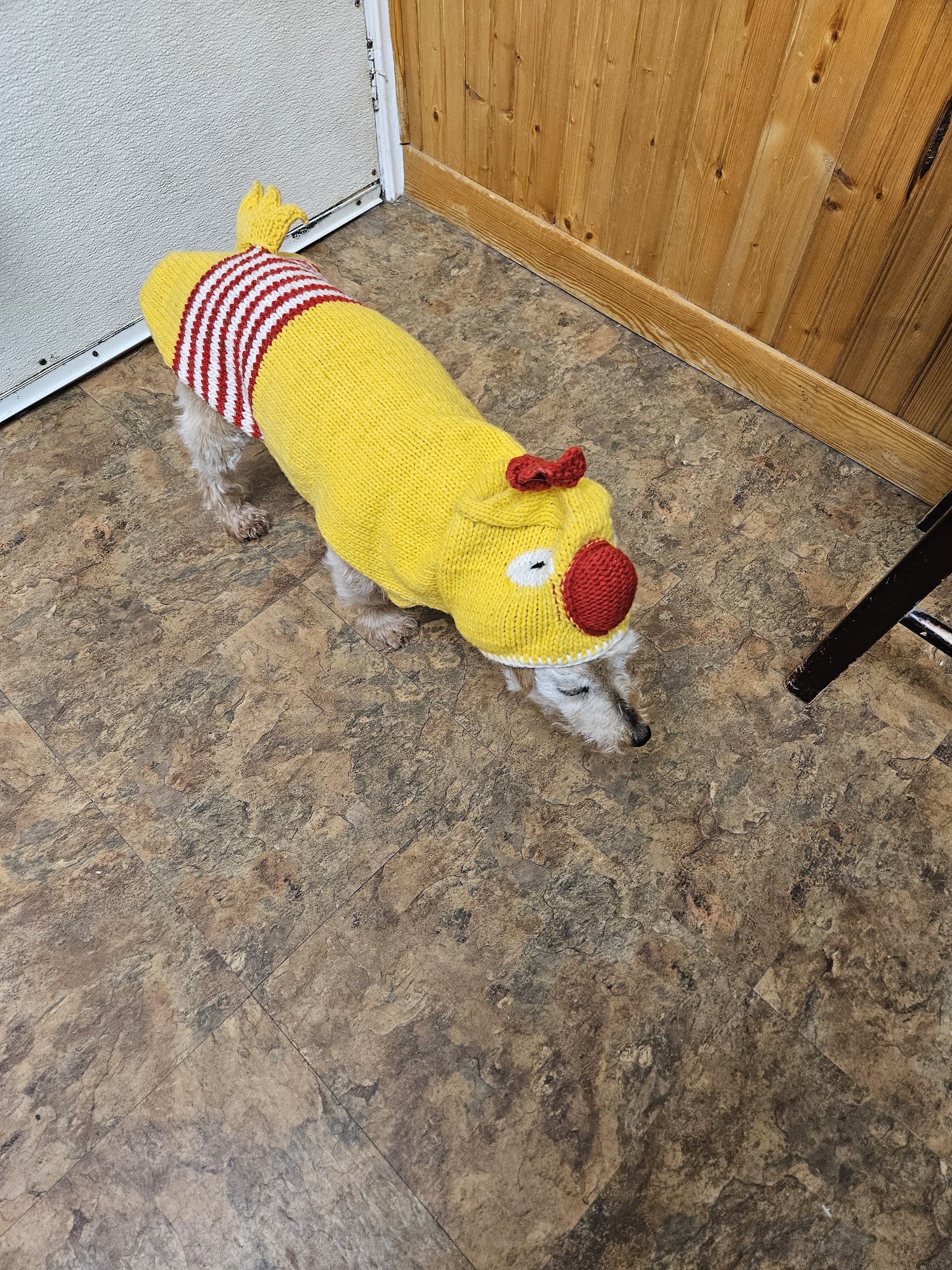 CB Pet Food & Supplies Kitchener