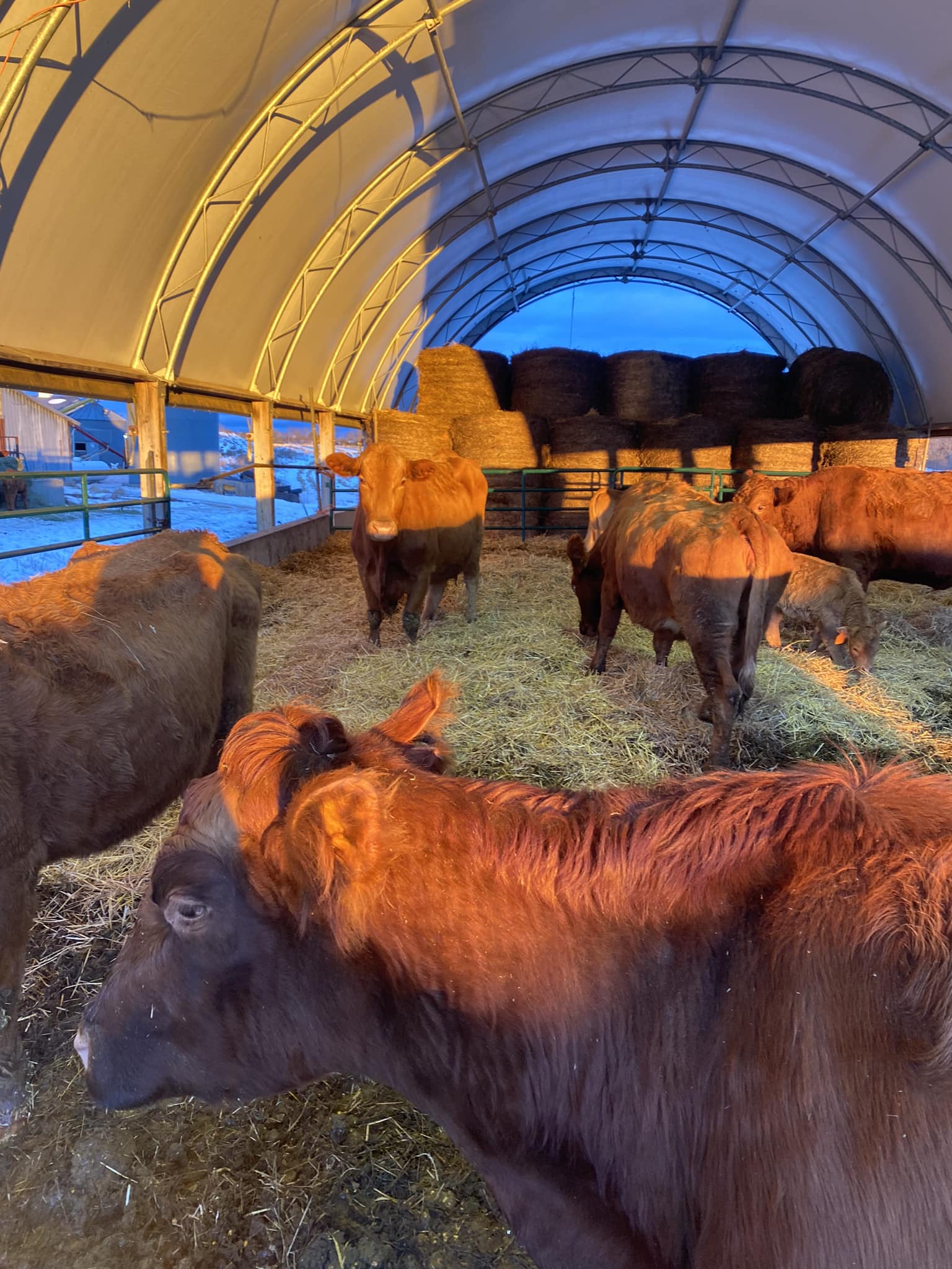 Kenview Farms Lansdowne