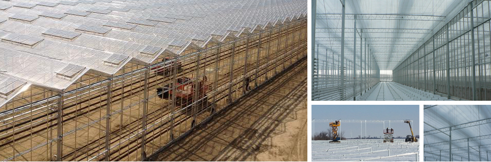 Ruthven Greenhouse Construction 420 Essex Rd 14, Leamington Ontario N8H 3V8