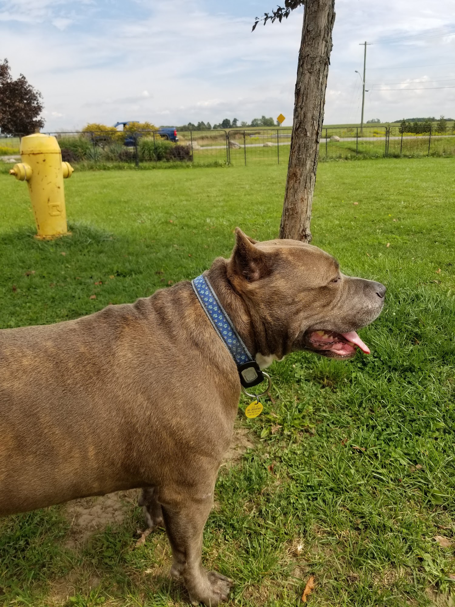 Victoria Feeds - The Horse & Hound Lindsay