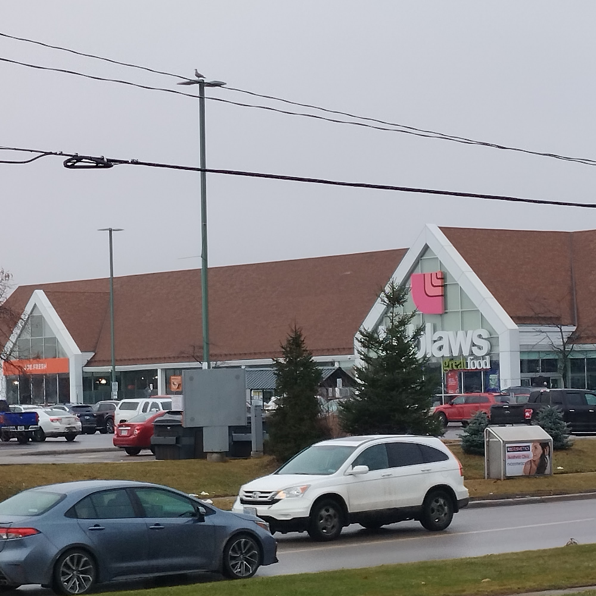 Loblaw pharmacy Lindsay