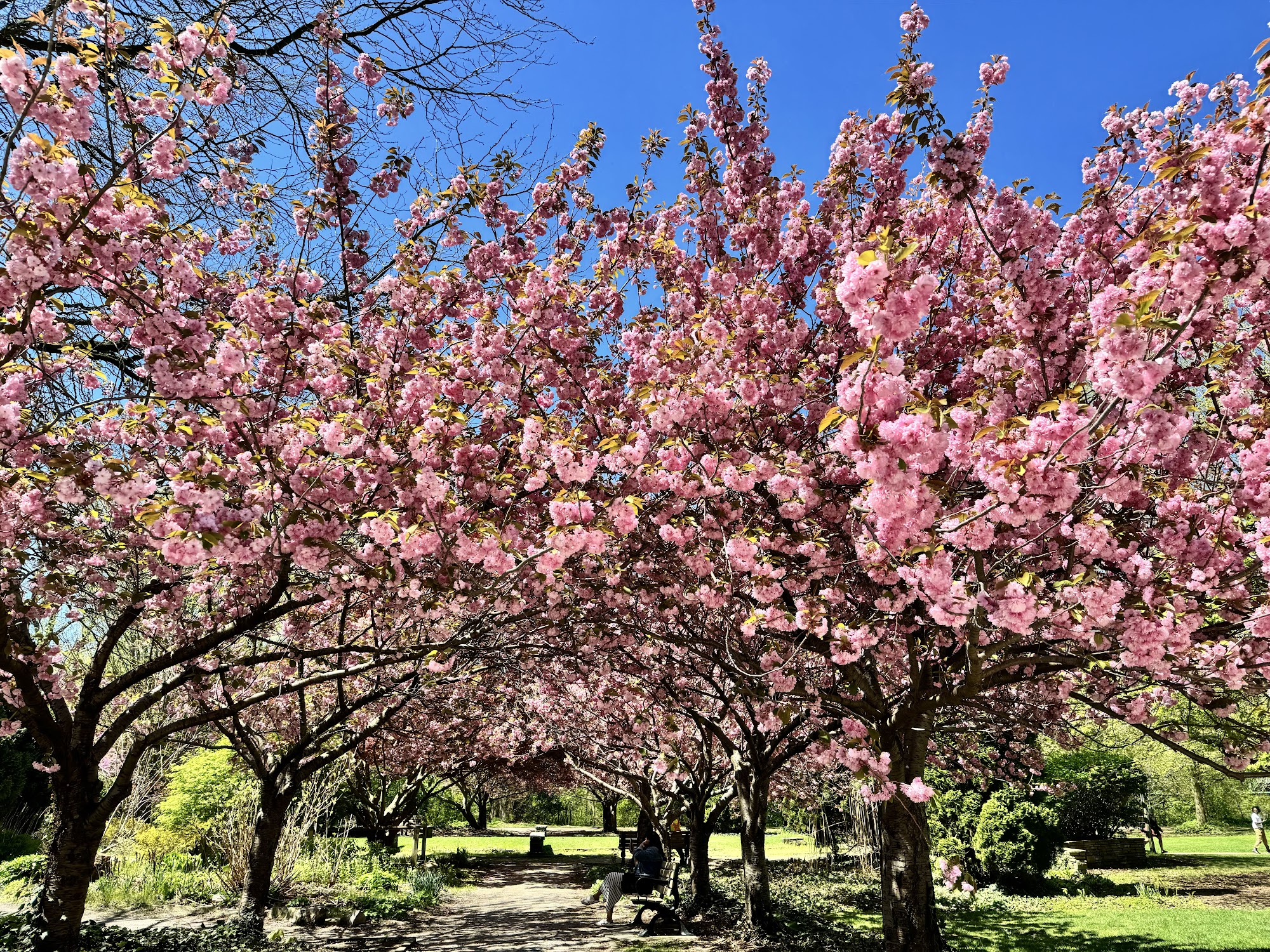 London Bicycle Café Menu