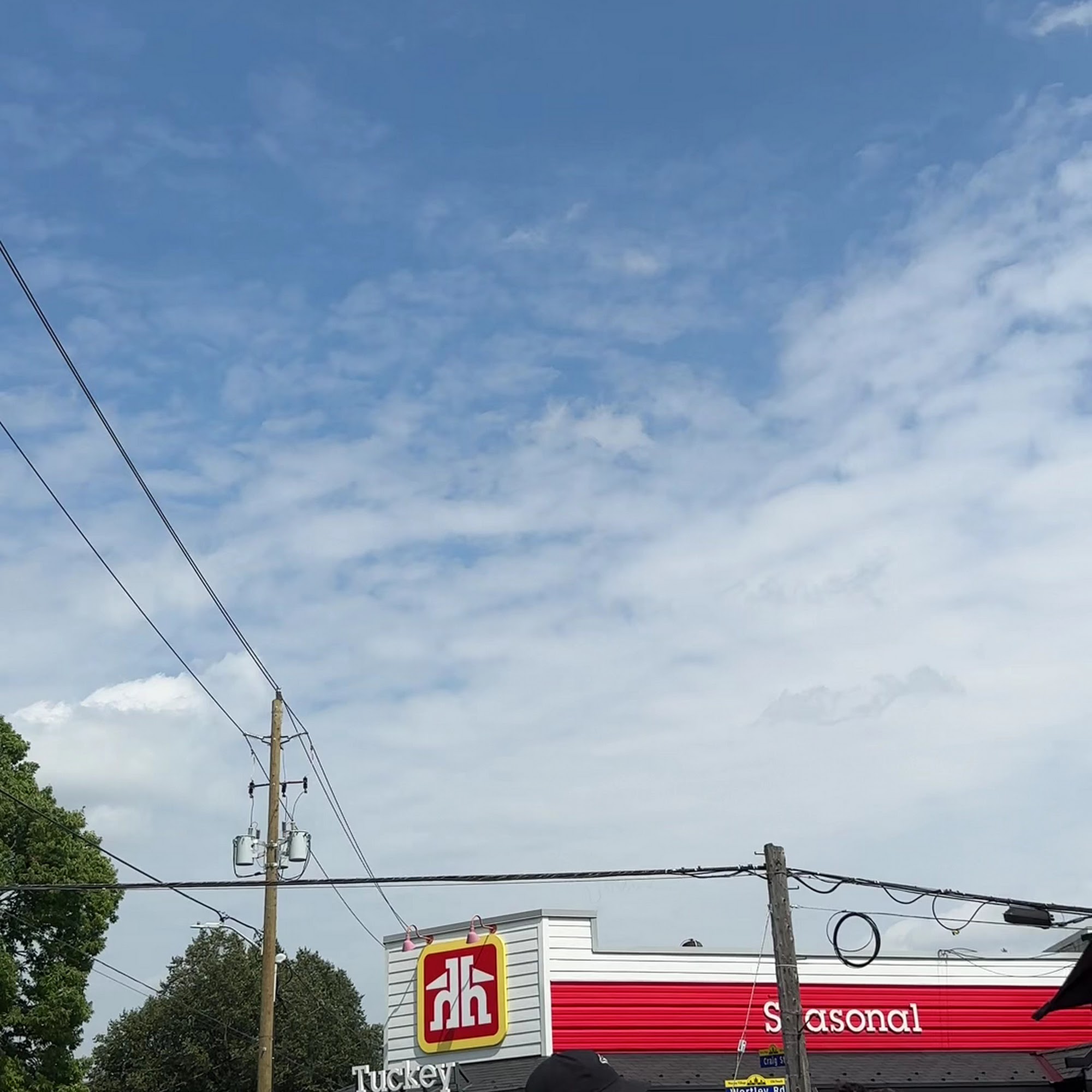 The Old South Village Pub London