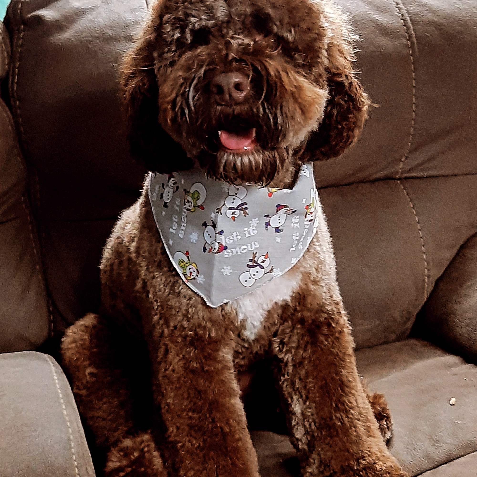 Global Pet Foods London