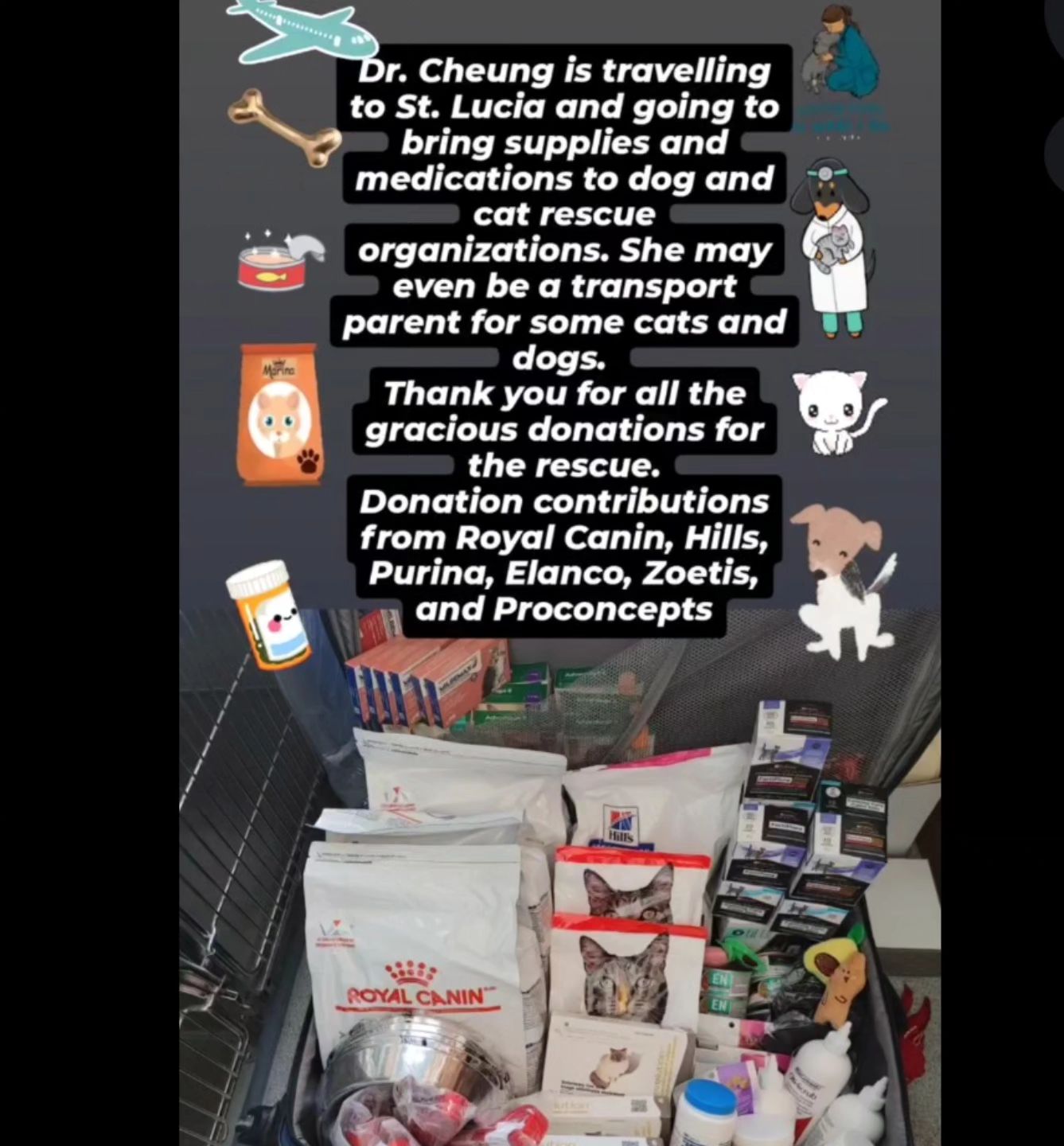 Central Cat Hospital London