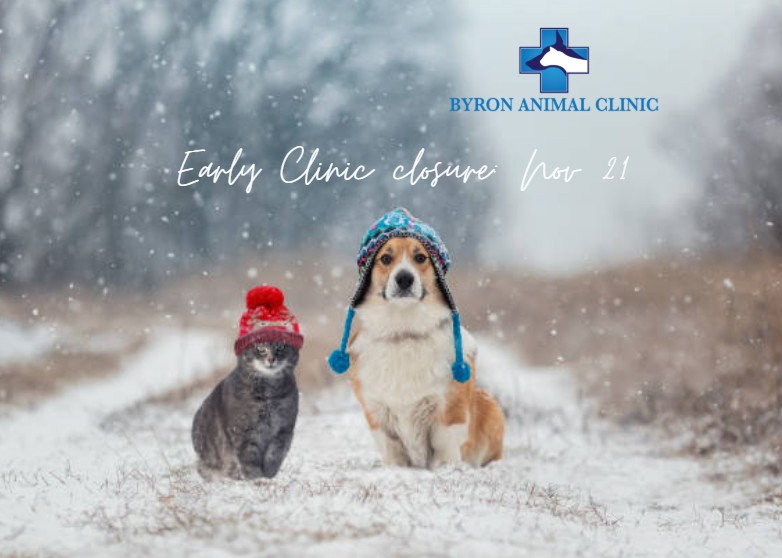 Byron Animal Clinic London