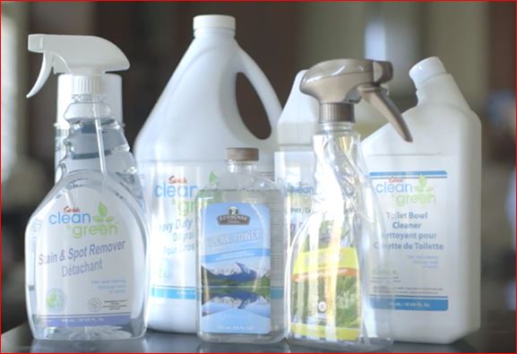 Dustex Cleaning Services Inc.