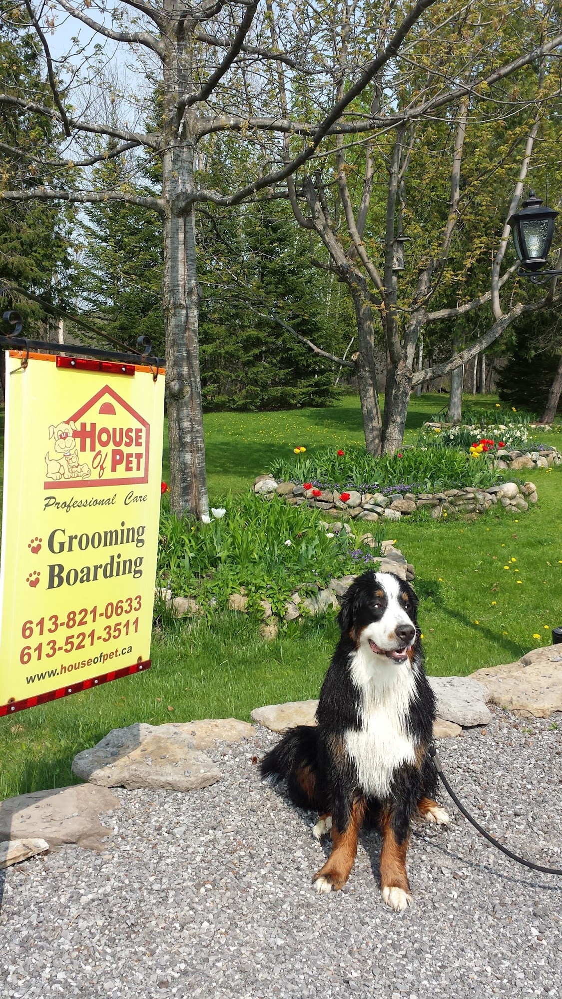 House Of Pet Manotick