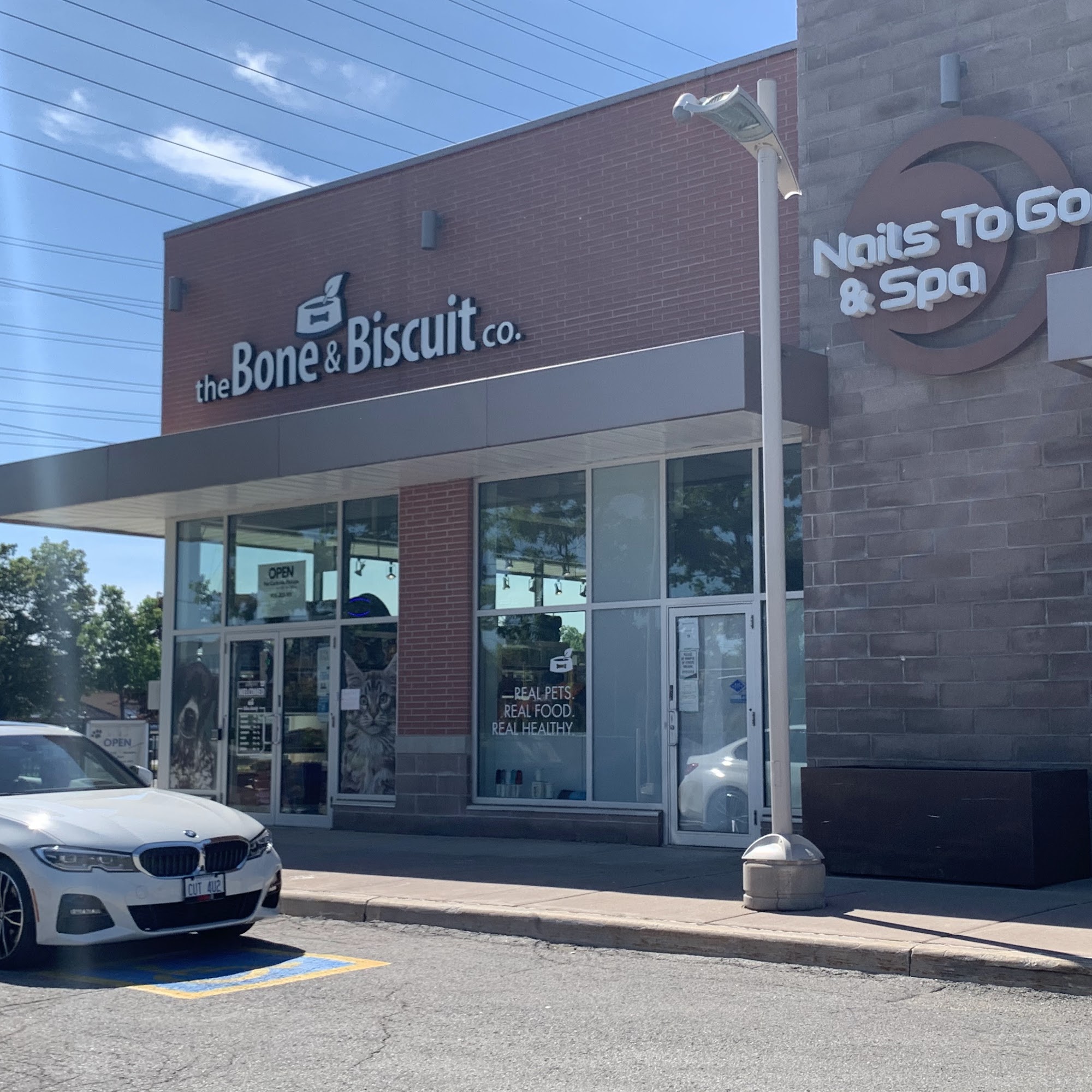 Bone & Biscuit Vaughan East Maple