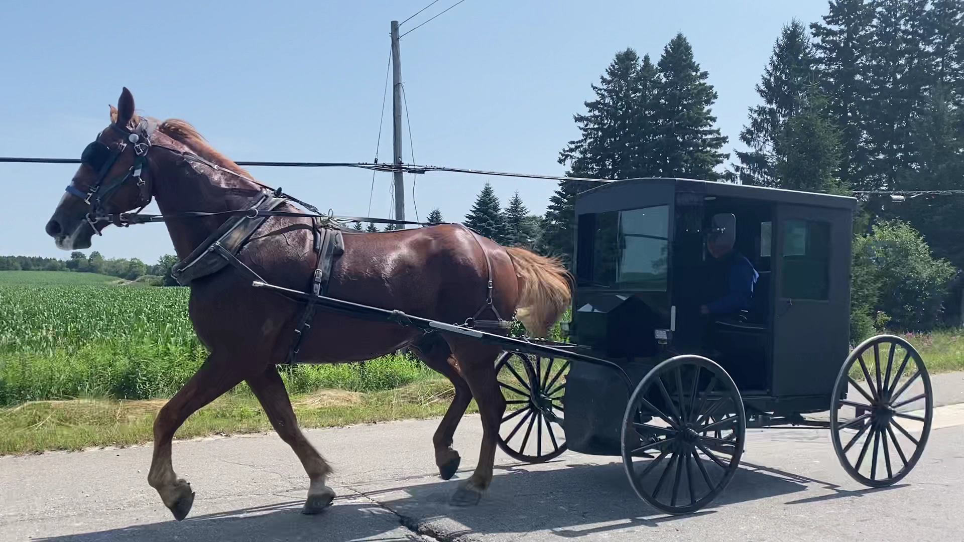 Ultramar - Gas Station Menu