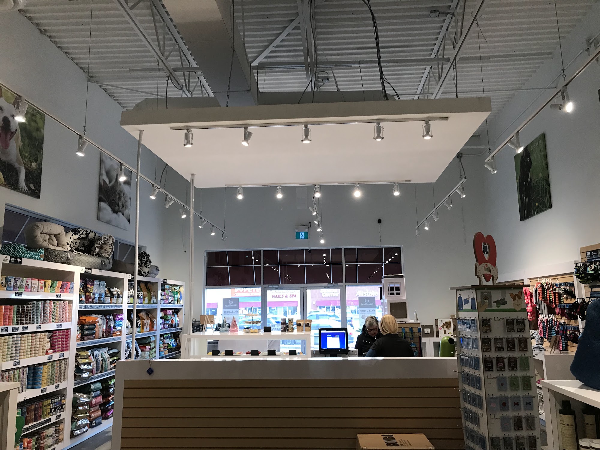 Surrge - Best Electrician Services