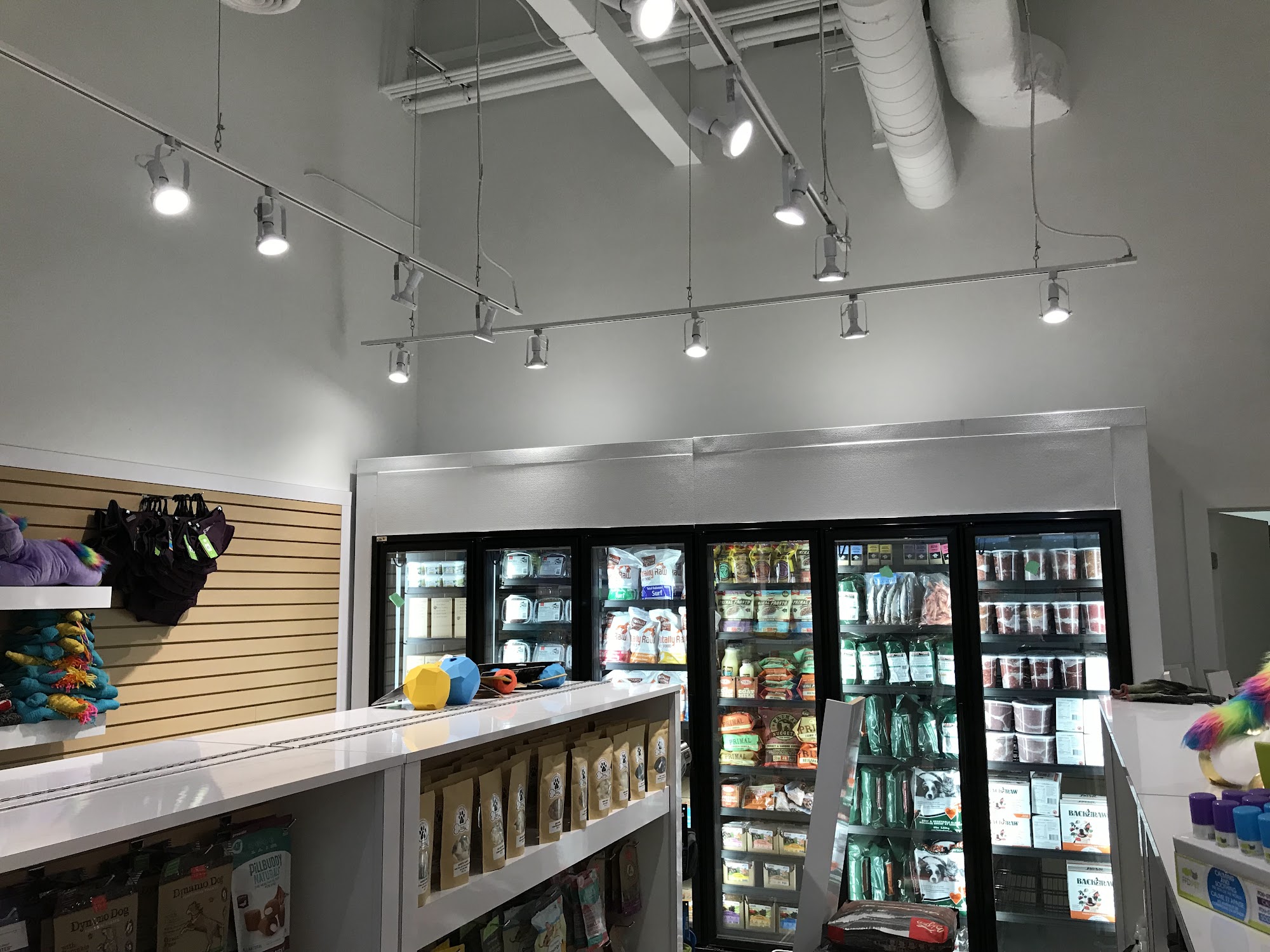 Surrge - Best Electrician Services