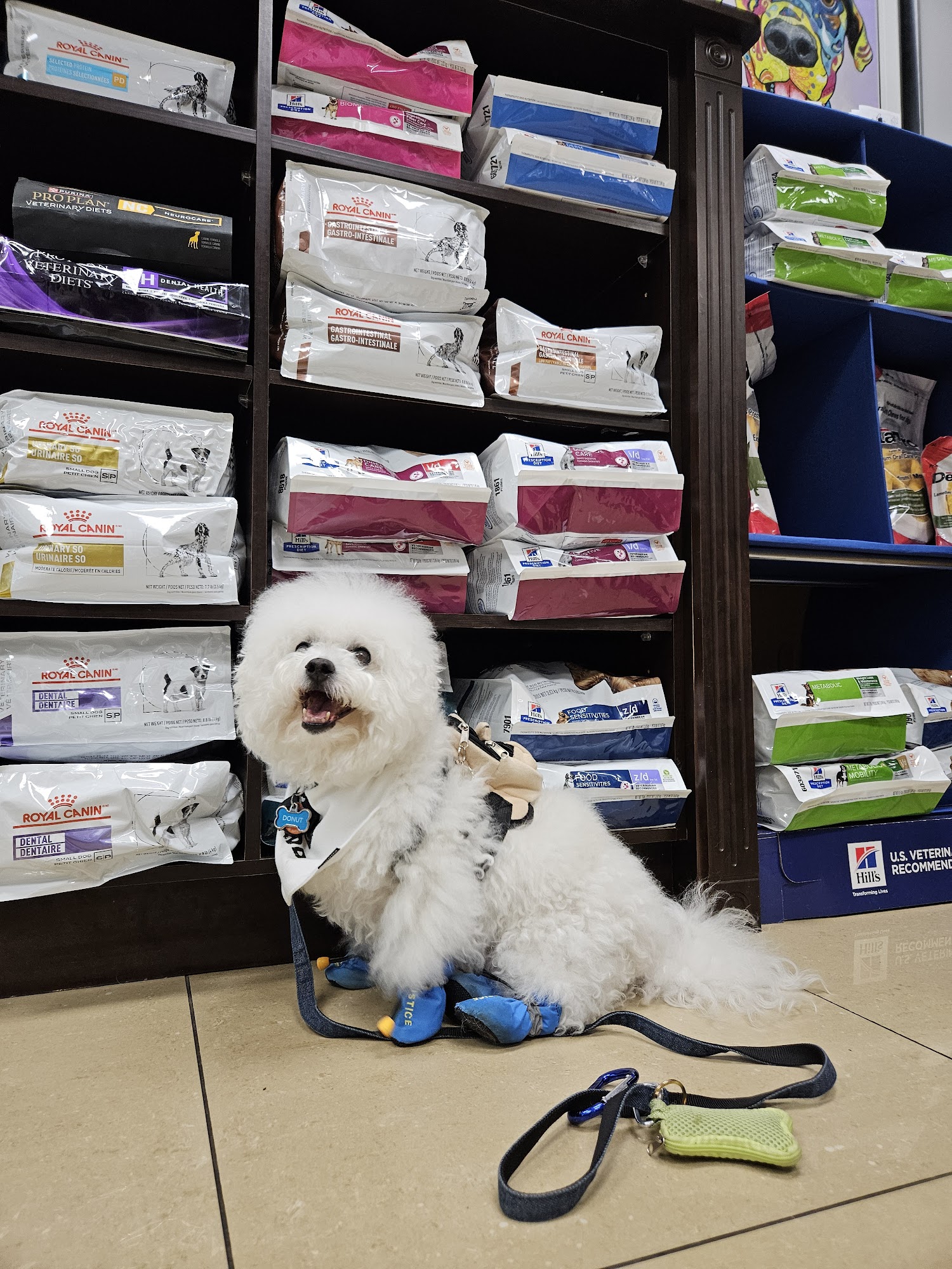 Wellington Veterinary Hospital Markham