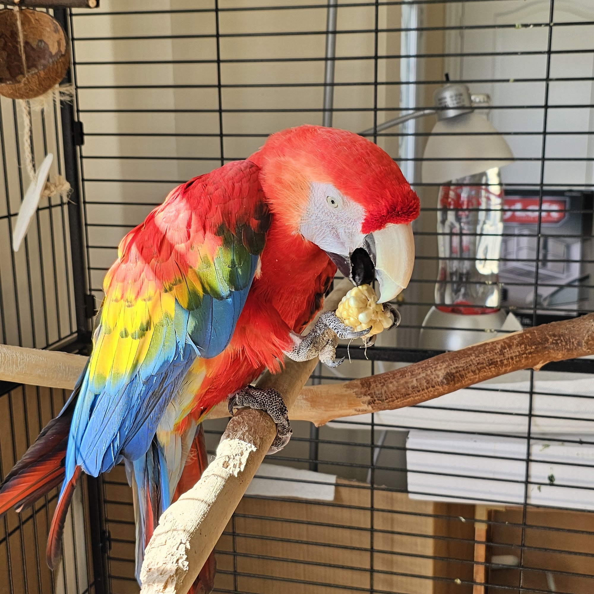 Global Pet Foods Markham