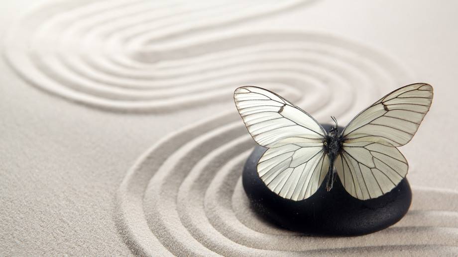 Bak Massage Therapy Clinic