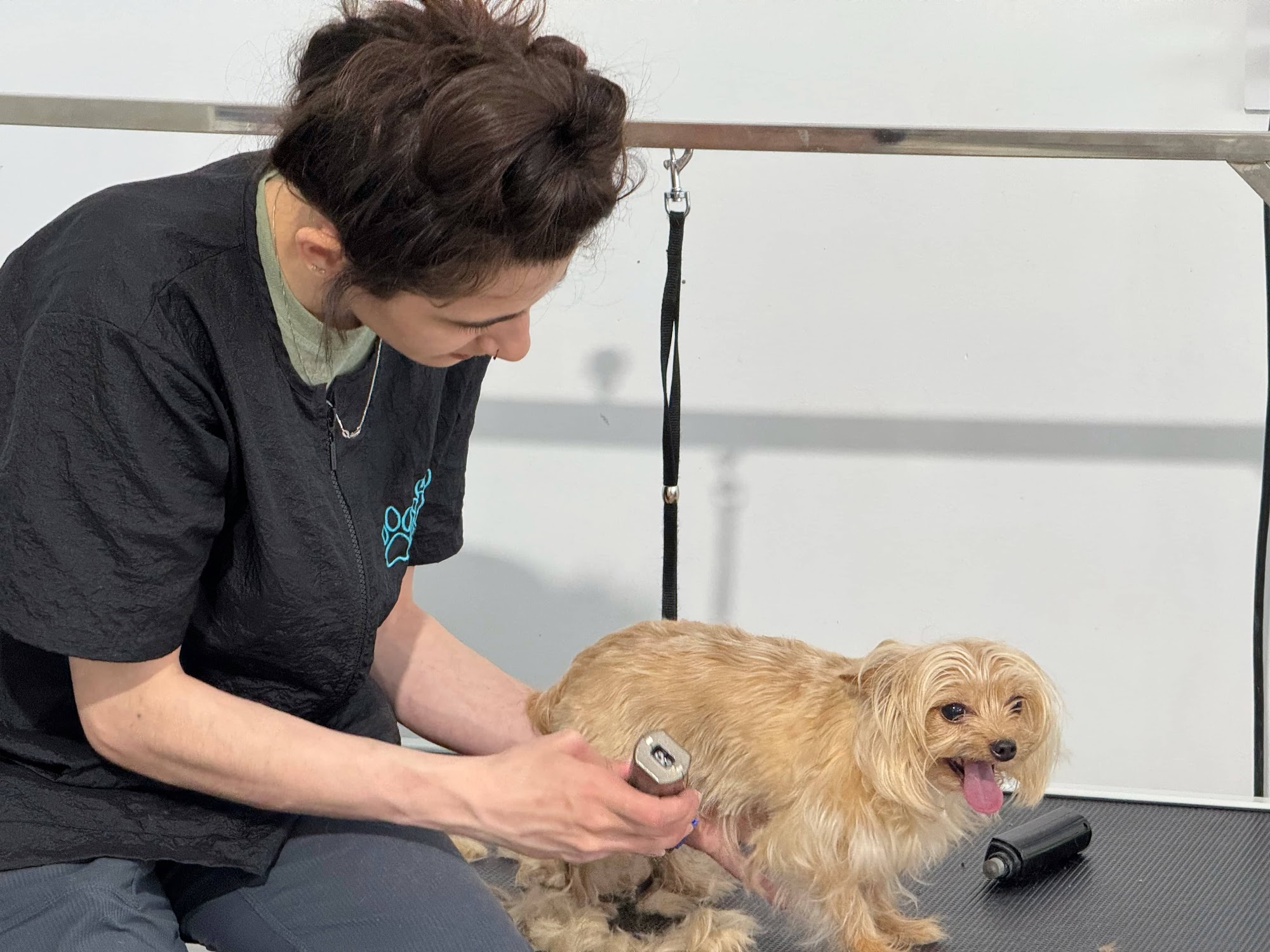 Fab 'n Furry Pet Spa