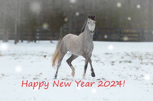 Campbellville Equine Services Milton