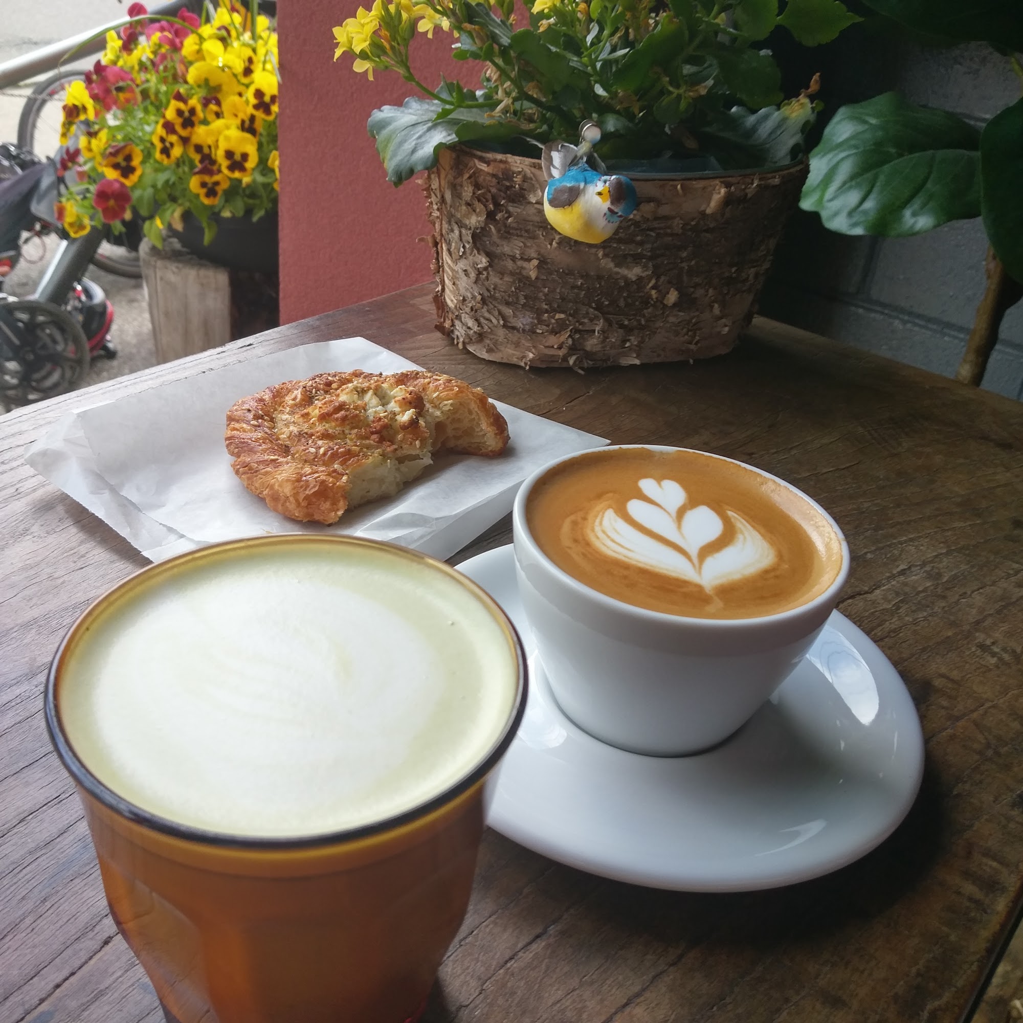 Back Road Coffee Roasters Mississauga