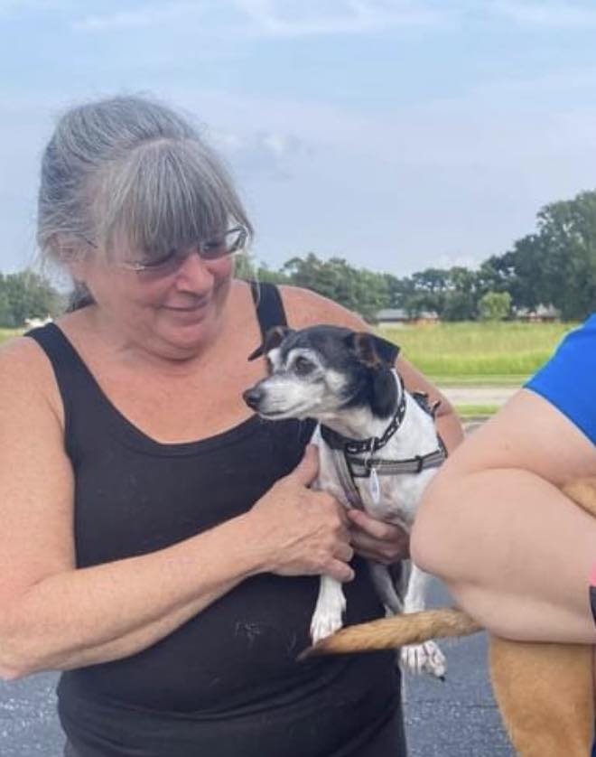 Doggie Central - Mississauga/Etobicoke Mississauga