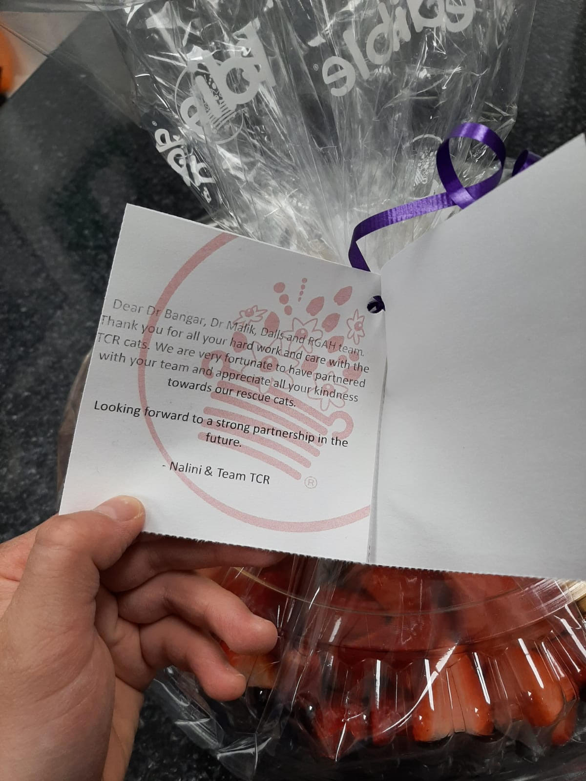 River Grove Animal Hospital Mississauga