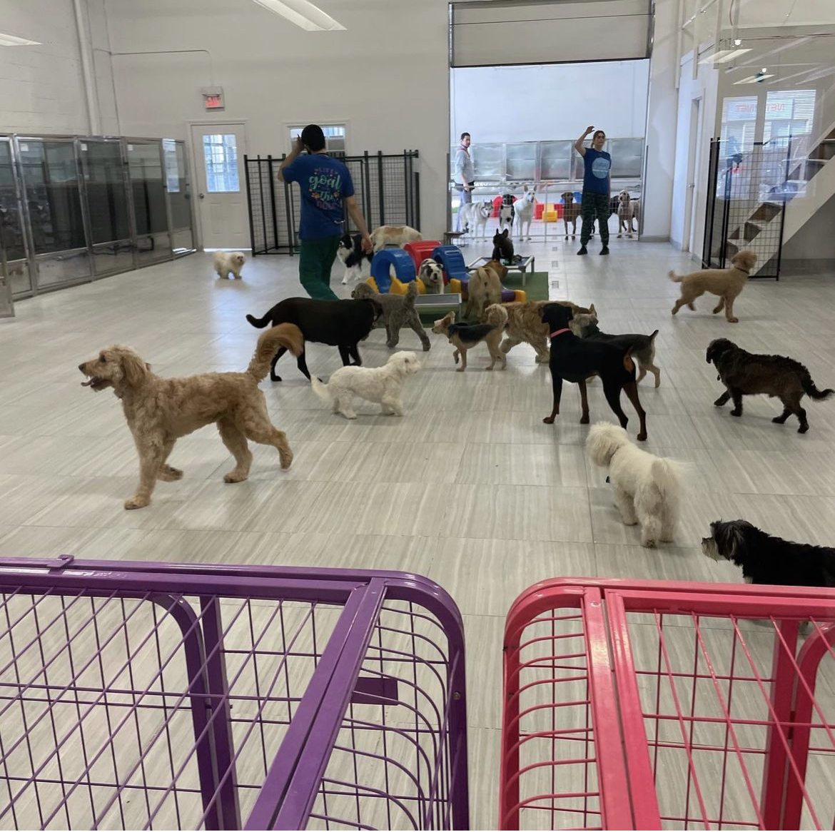 Winston and Friendz Mississauga