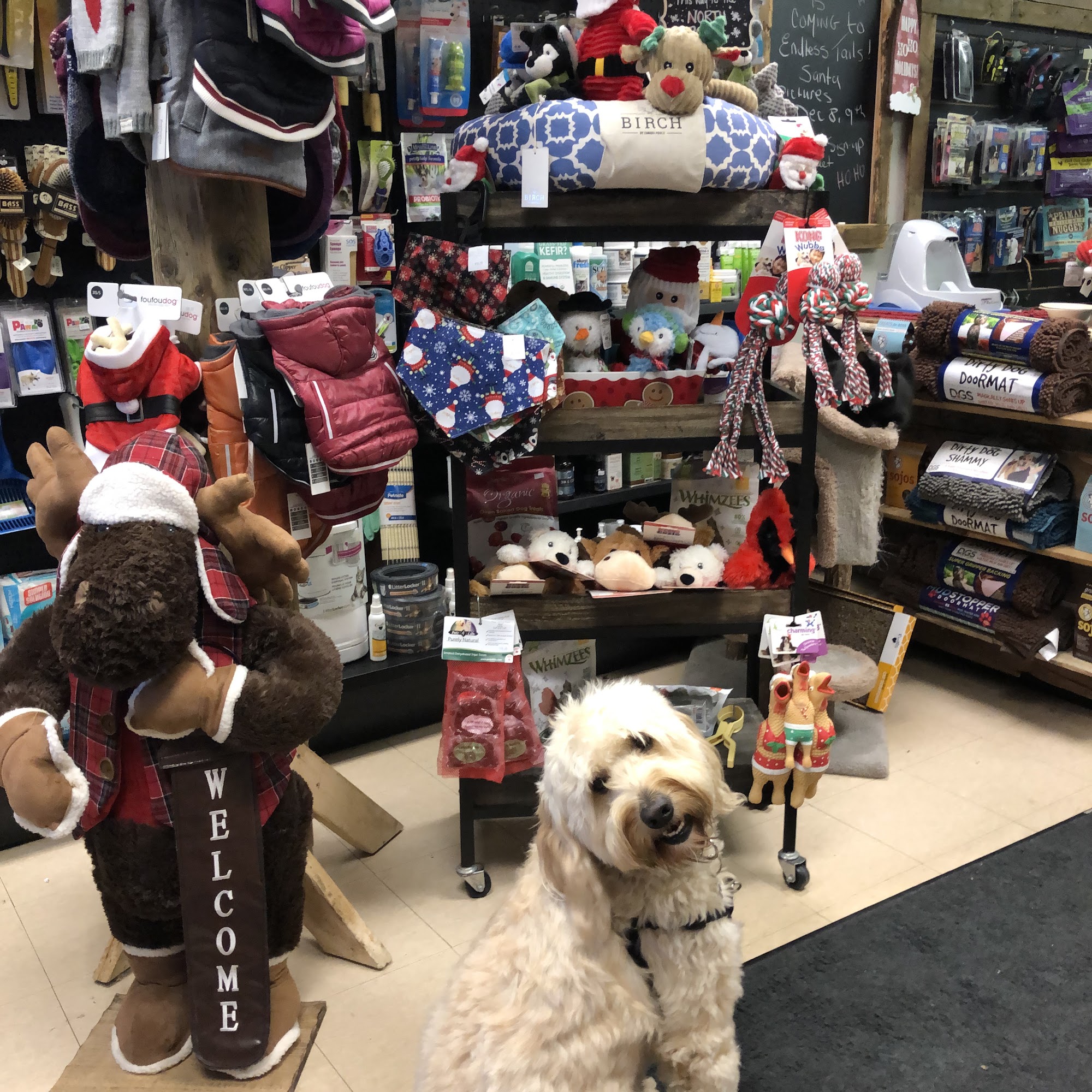 Endless Tails Pet Nutrition Centre Mississauga