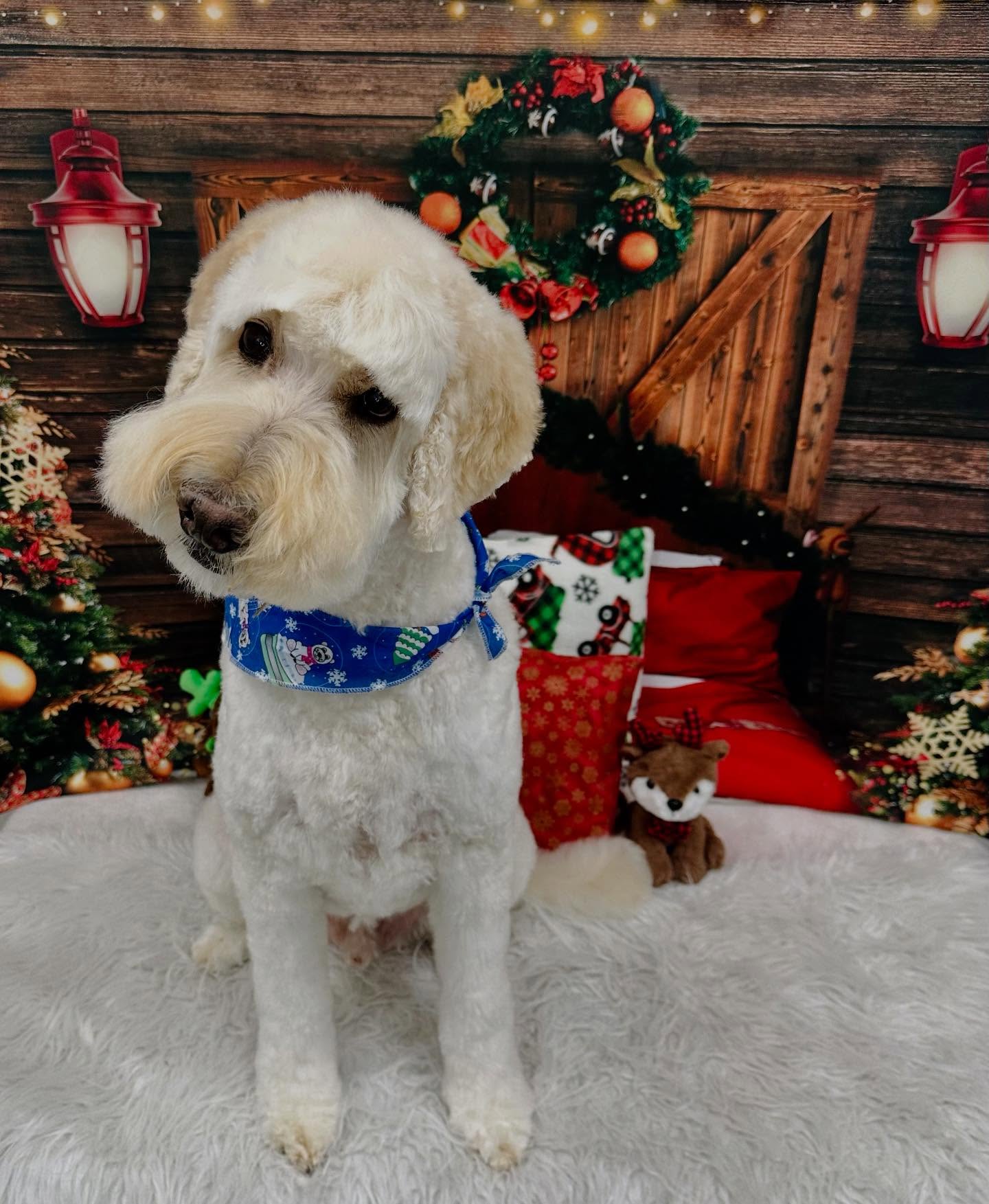 Soft Touch Dog Grooming Mono